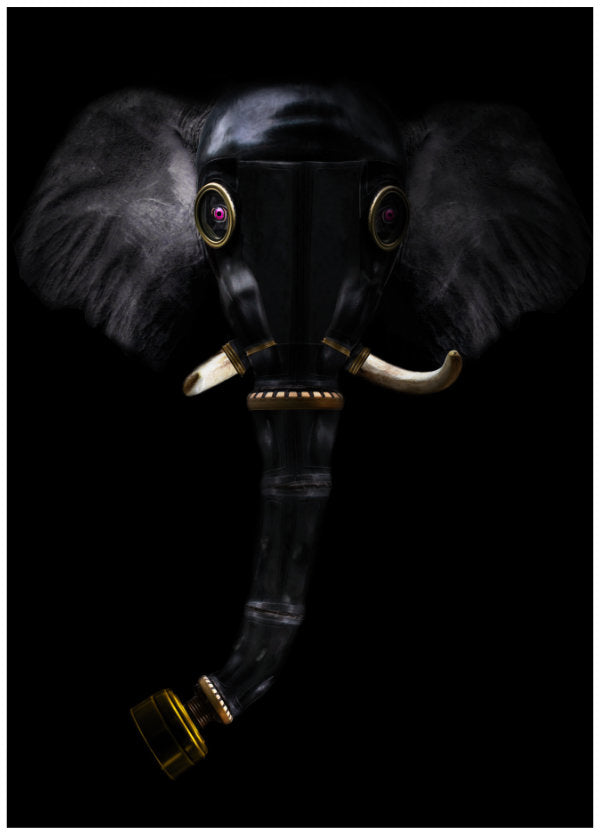 Elephant in the room