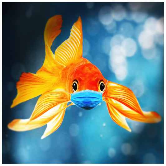Fish called ...