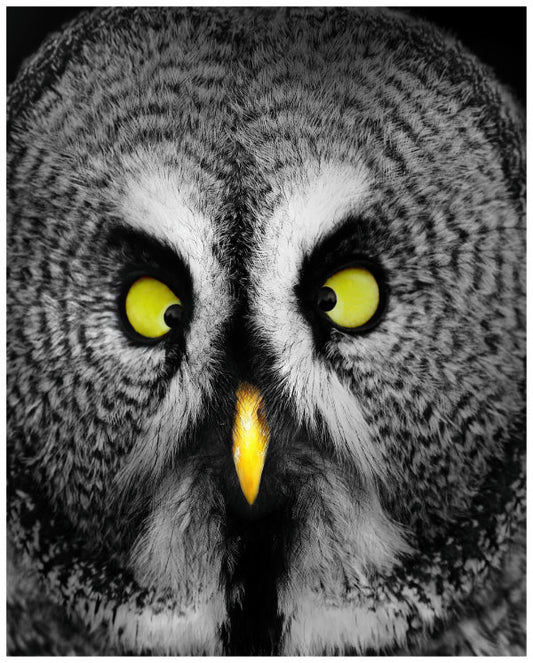 I see U